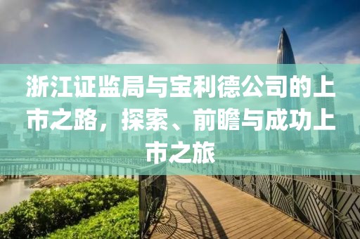 浙江证监局与宝利德公司的上市之路，探索、前瞻与成功上市之旅