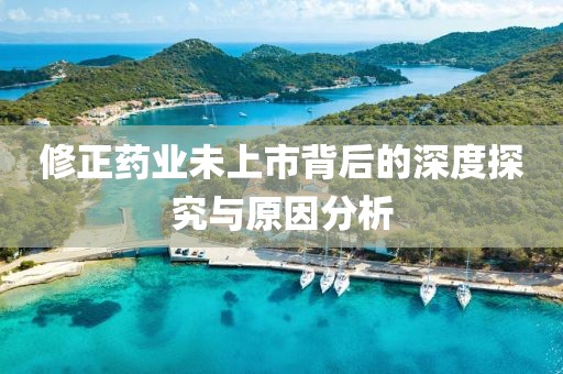 修正药业未上市背后的深度探究与原因分析