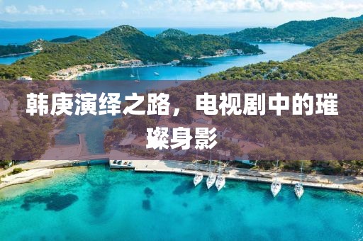 韩庚演绎之路，电视剧中的璀璨身影