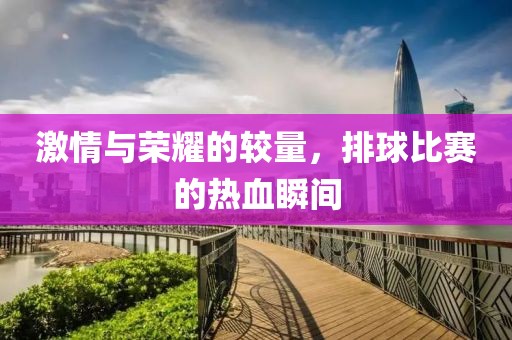 激情与荣耀的较量，排球比赛的热血瞬间