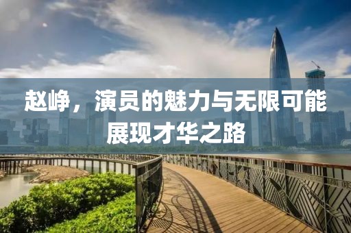 赵峥，演员的魅力与无限可能展现才华之路