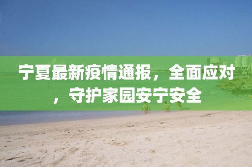 宁夏最新疫情通报，全面应对，守护家园安宁安全
