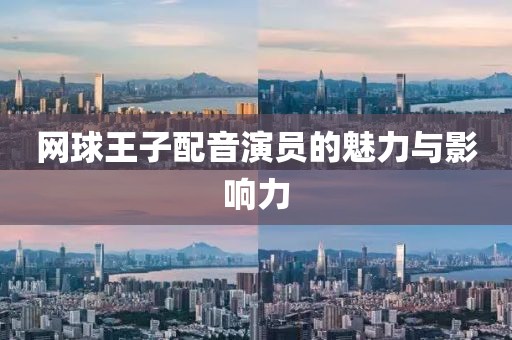 网球王子配音演员的魅力与影响力