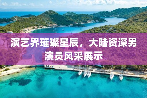 演艺界璀璨星辰，大陆资深男演员风采展示