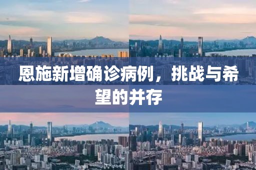 恩施新增确诊病例，挑战与希望的并存