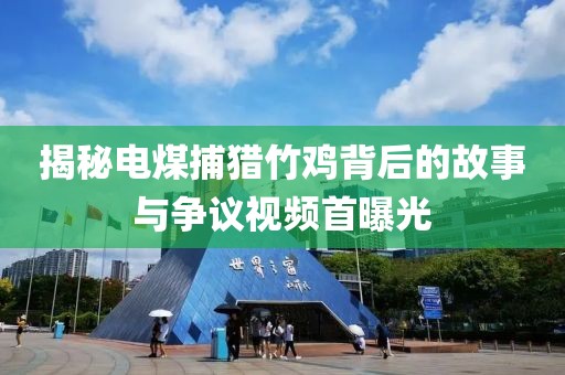 揭秘电煤捕猎竹鸡背后的故事与争议视频首曝光