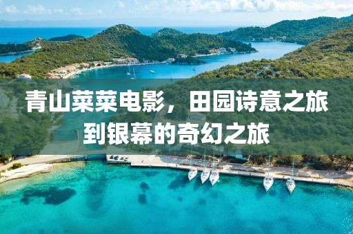 青山菜菜电影，田园诗意之旅到银幕的奇幻之旅