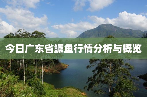 今日广东省鳜鱼行情分析与概览