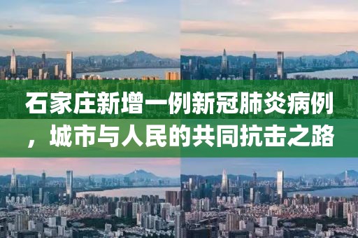 石家庄新增一例新冠肺炎病例，城市与人民的共同抗击之路