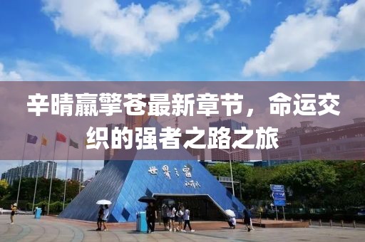 辛晴羸擎苍最新章节，命运交织的强者之路之旅