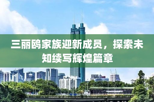 三丽鸥家族迎新成员，探索未知续写辉煌篇章