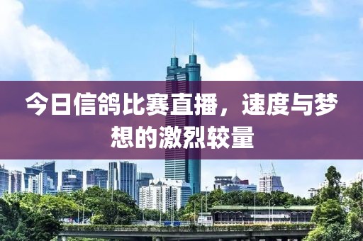 今日信鸽比赛直播，速度与梦想的激烈较量