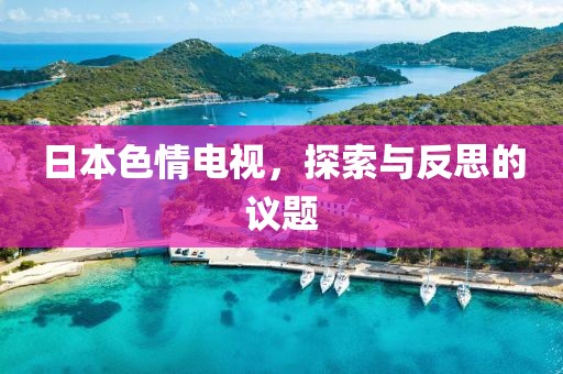 日本色情电视，探索与反思的议题