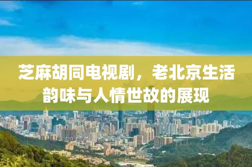 芝麻胡同电视剧，老北京生活韵味与人情世故的展现
