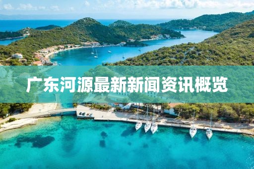 广东河源最新新闻资讯概览
