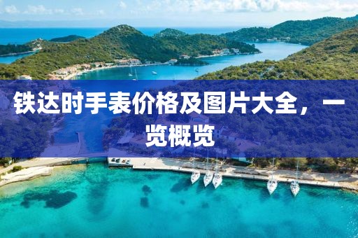 铁达时手表价格及图片大全，一览概览