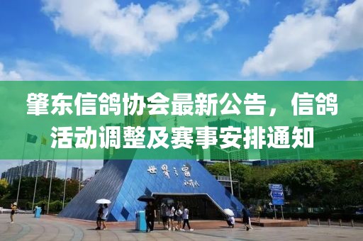 肇东信鸽协会最新公告，信鸽活动调整及赛事安排通知