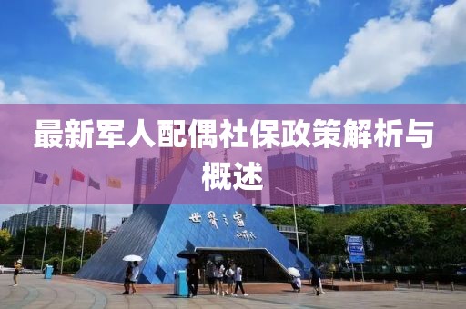 最新军人配偶社保政策解析与概述