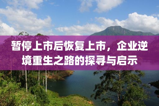 暂停上市后恢复上市，企业逆境重生之路的探寻与启示