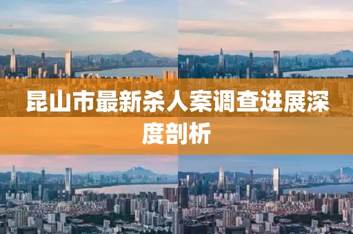 昆山市最新杀人案调查进展深度剖析