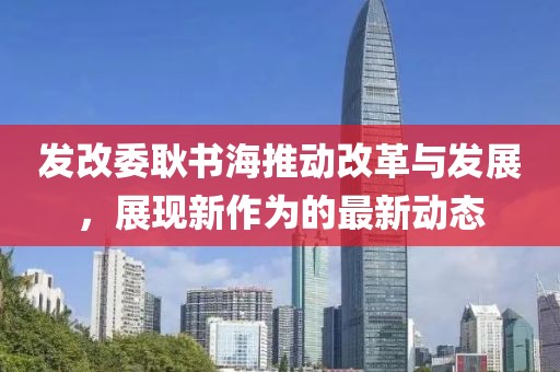 发改委耿书海推动改革与发展，展现新作为的最新动态