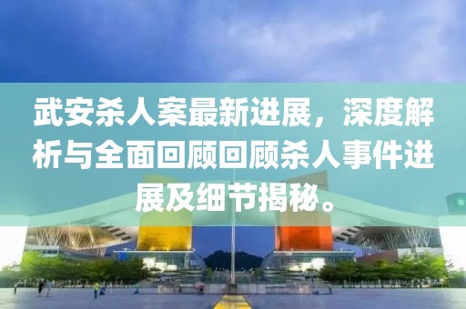武安杀人案最新进展，深度解析与全面回顾回顾杀人事件进展及细节揭秘。