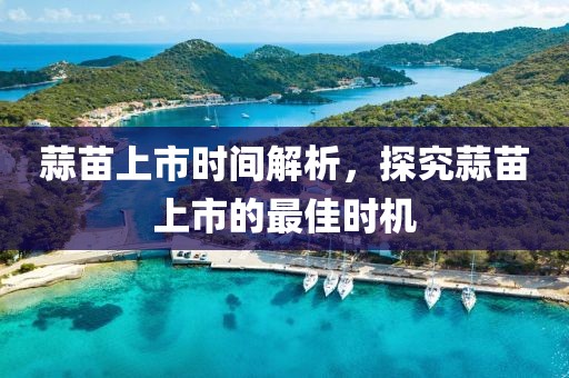 蒜苗上市时间解析，探究蒜苗上市的最佳时机