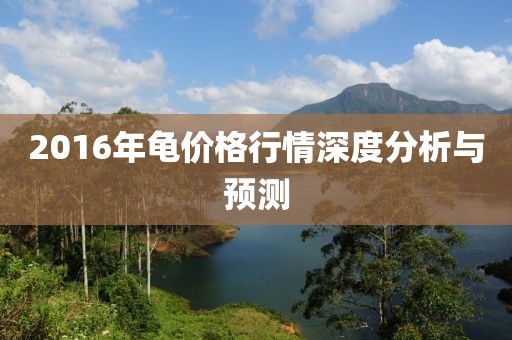 2016年龟价格行情深度分析与预测