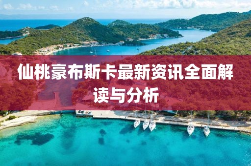 仙桃豪布斯卡最新资讯全面解读与分析