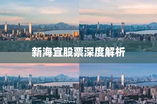 新海宜股票深度解析