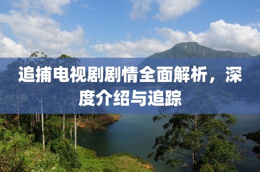 追捕电视剧剧情全面解析，深度介绍与追踪