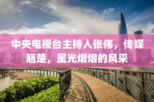 中央电视台主持人张伟，传媒翘楚，星光熠熠的风采