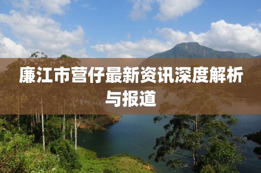 廉江市营仔最新资讯深度解析与报道