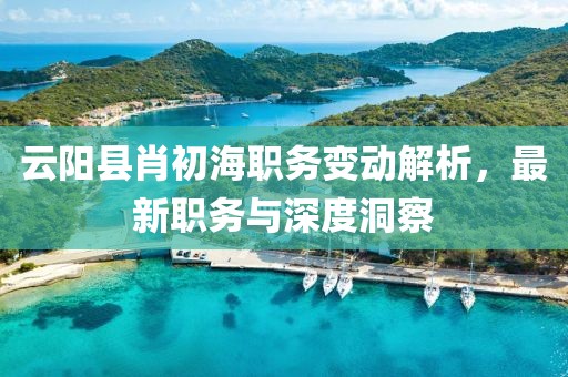 云阳县肖初海职务变动解析，最新职务与深度洞察