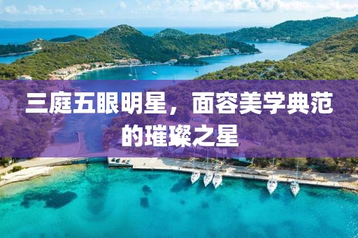 三庭五眼明星，面容美学典范的璀璨之星