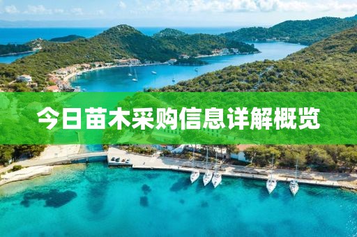 今日苗木采购信息详解概览