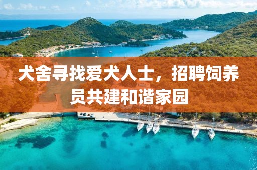犬舍寻找爱犬人士，招聘饲养员共建和谐家园