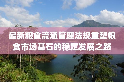 最新粮食流通管理法规重塑粮食市场基石的稳定发展之路