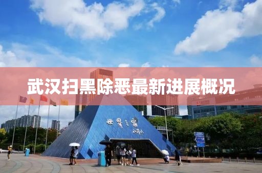 武汉扫黑除恶最新进展概况