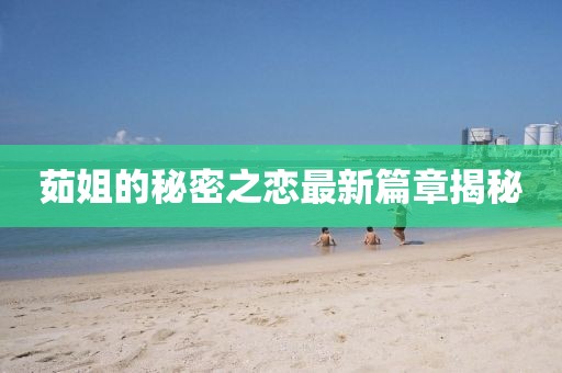 茹姐的秘密之恋最新篇章揭秘