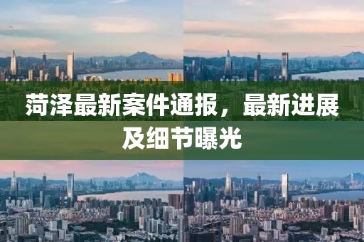 菏泽最新案件通报，最新进展及细节曝光