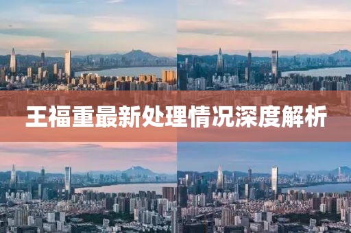 王福重最新处理情况深度解析