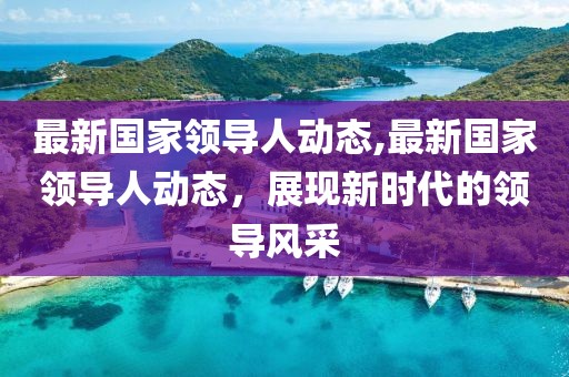 最新国家领导人动态,最新国家领导人动态，展现新时代的领导风采