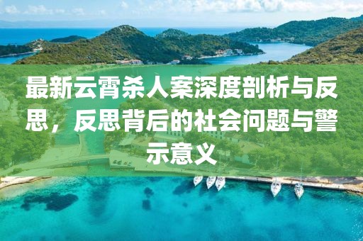 最新云霄杀人案深度剖析与反思，反思背后的社会问题与警示意义