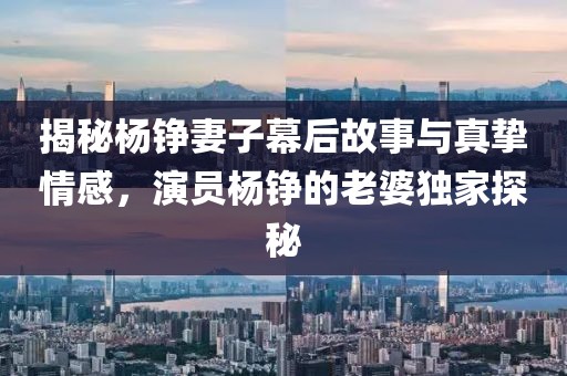 揭秘杨铮妻子幕后故事与真挚情感，演员杨铮的老婆独家探秘