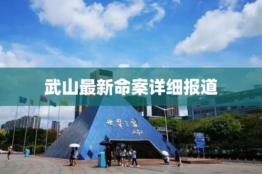 武山最新命案详细报道