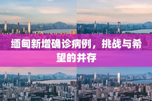缅甸新增确诊病例，挑战与希望的并存