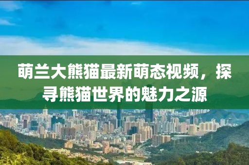 萌兰大熊猫最新萌态视频，探寻熊猫世界的魅力之源