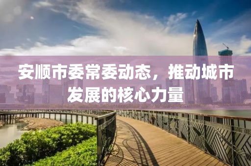 安顺市委常委动态，推动城市发展的核心力量
