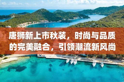 唐狮新上市秋装，时尚与品质的完美融合，引领潮流新风尚